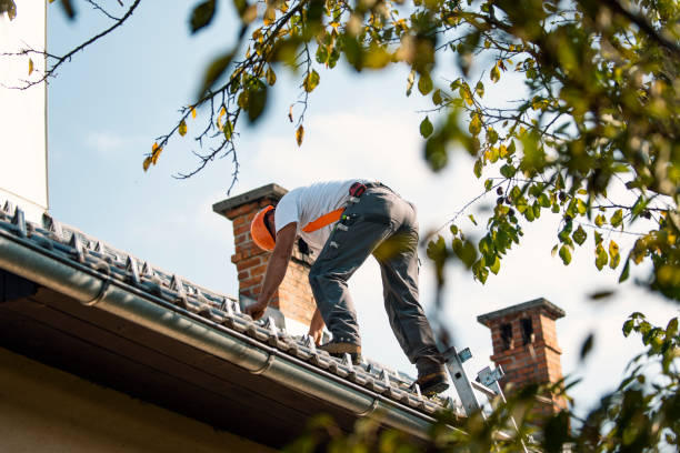 Best Commercial Roof Installation  in De Smet, SD
