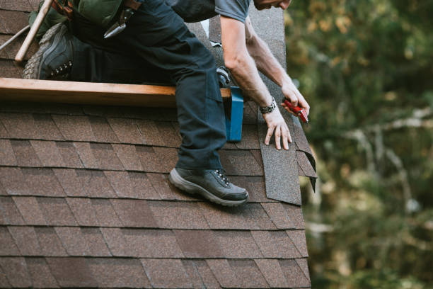 Best Roof Waterproofing Services  in De Smet, SD